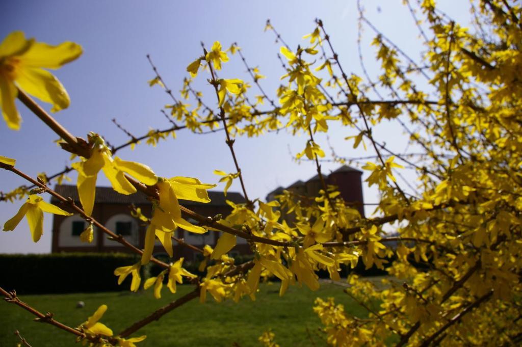 Agriturismo Cascina Nuova Villa Valenza Buitenkant foto