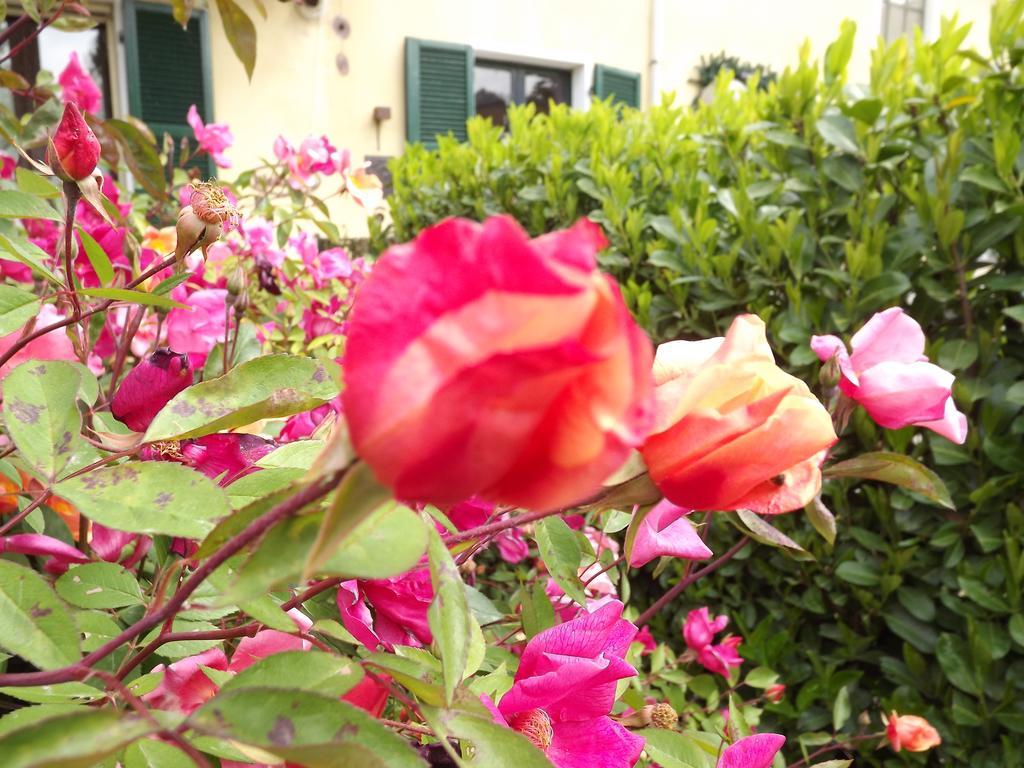 Agriturismo Cascina Nuova Villa Valenza Buitenkant foto