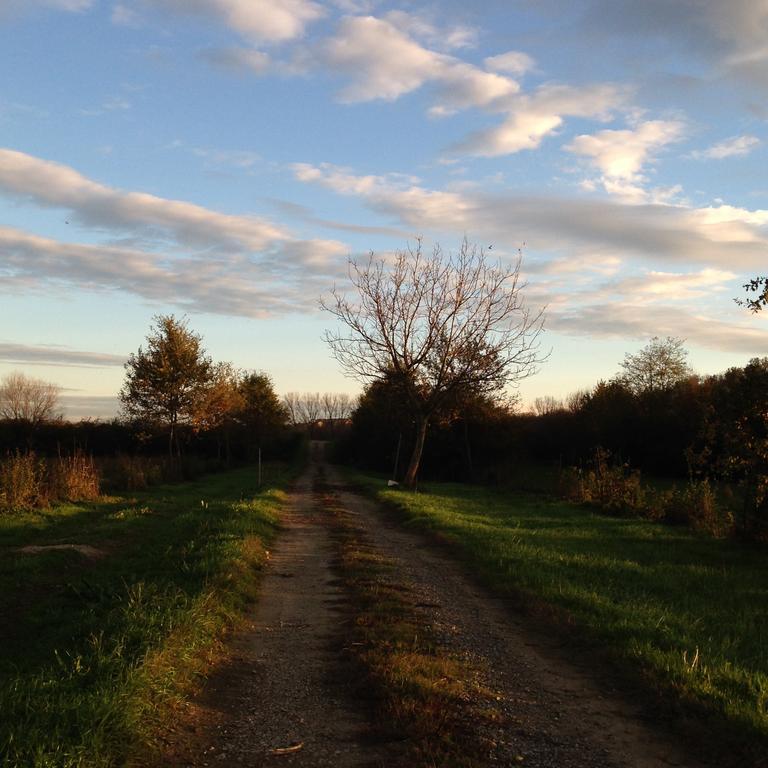 Agriturismo Cascina Nuova Villa Valenza Buitenkant foto