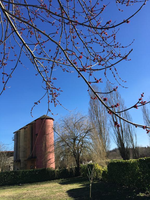 Agriturismo Cascina Nuova Villa Valenza Buitenkant foto