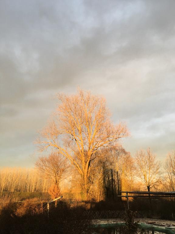 Agriturismo Cascina Nuova Villa Valenza Buitenkant foto