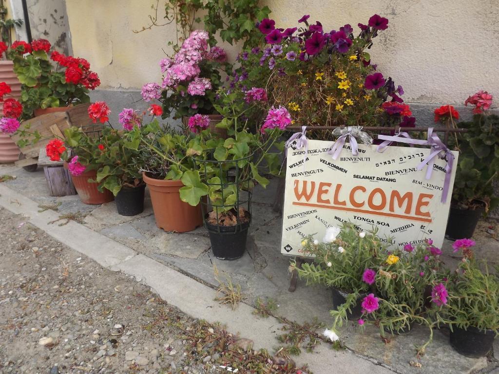 Agriturismo Cascina Nuova Villa Valenza Buitenkant foto